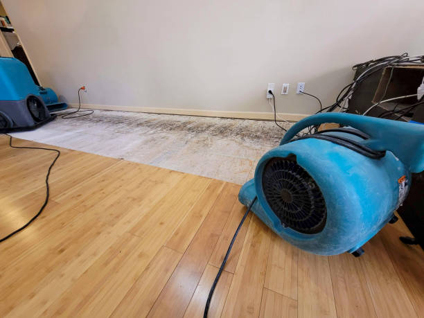 Professional Structural Drying technician working in Addis, LA